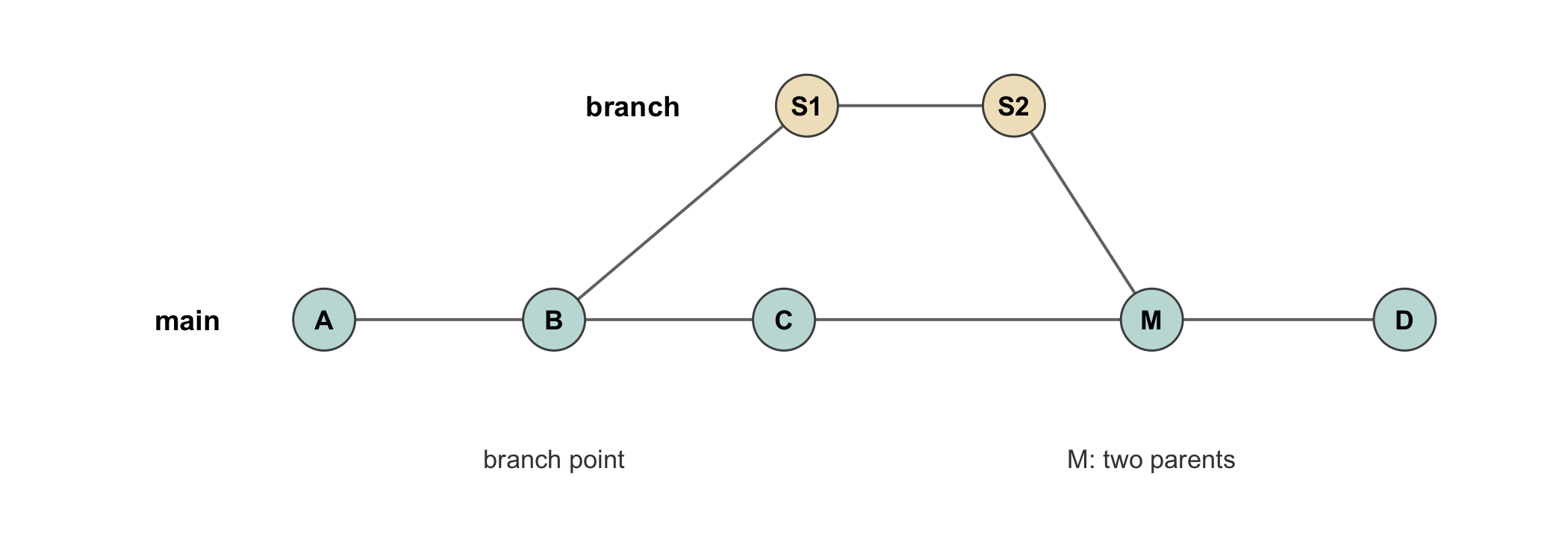 A commit graph with two horizontal rows of circles joined by lines, with time running left to right. The lower row, labeled main, runs A, B, C, then the merge commit M, then D. The upper row, labeled a sensitivity-analysis branch, holds two commits S1 and S2. A line rises from B to S1, marking the branch point, and a line descends from S2 to M, the merge. M is annotated as the only commit with two parents. Commits A, B, and C lie on the shared portion of the graph rather than being copied onto the branch.